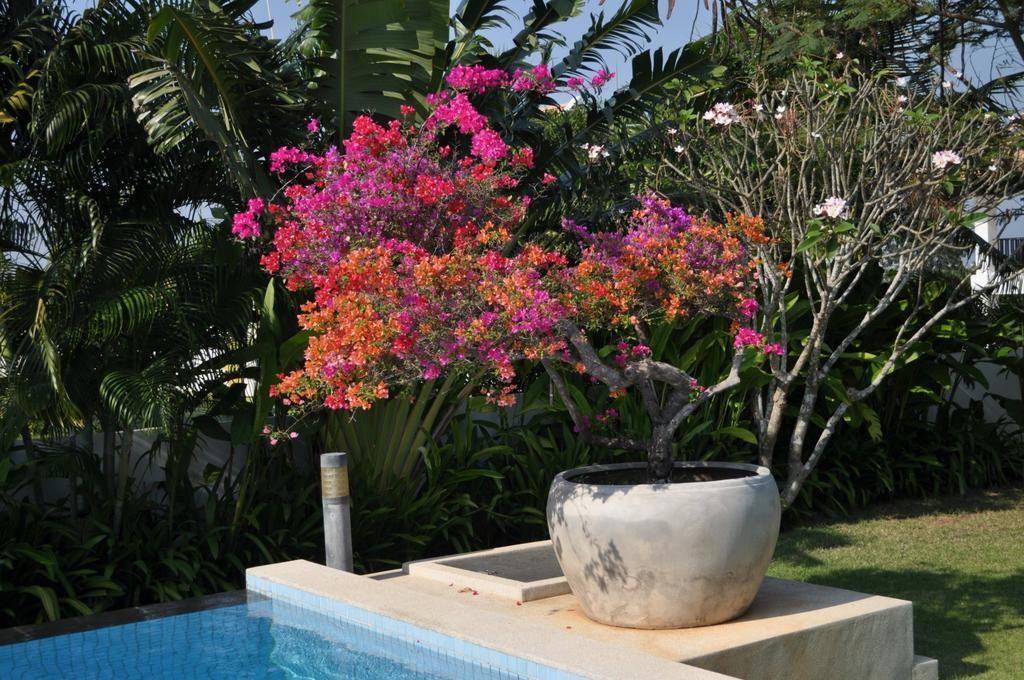 Pousada Balinese With Private Pool *